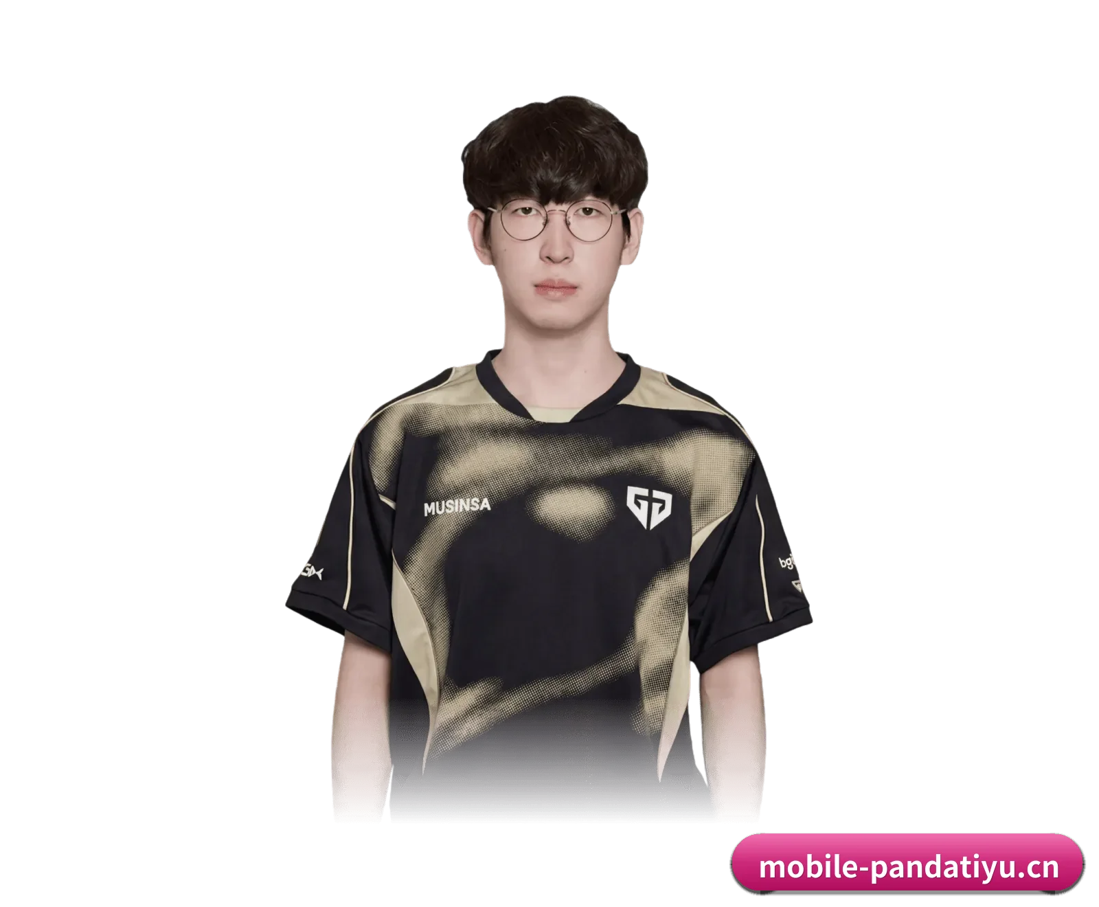 熊猫体育要走的方向(PANDA SPORTS)
